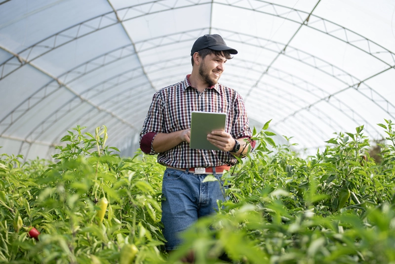 New Agricultural Support Package Announced